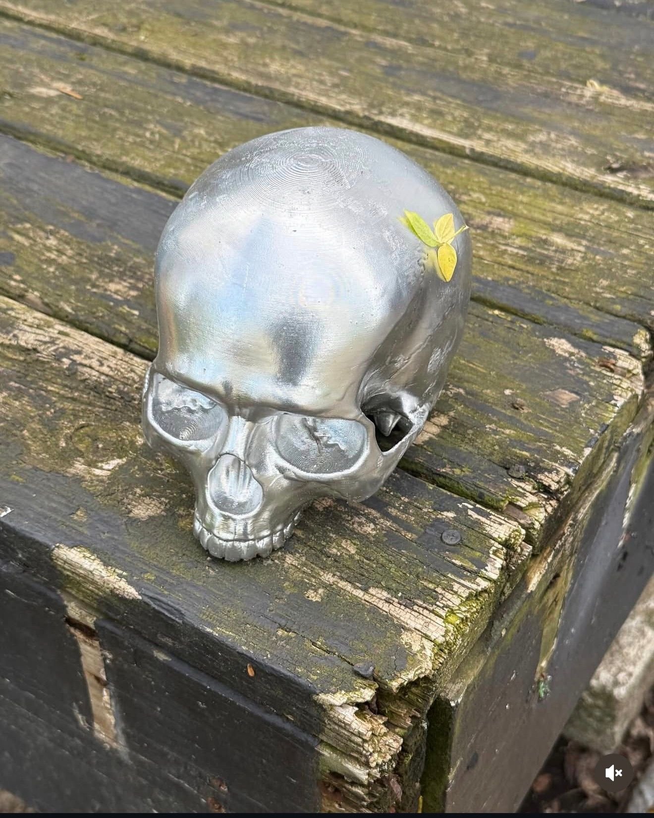 A 3D-printed skull painted metallic silver, sitting on a mossy weathered wooden beam.