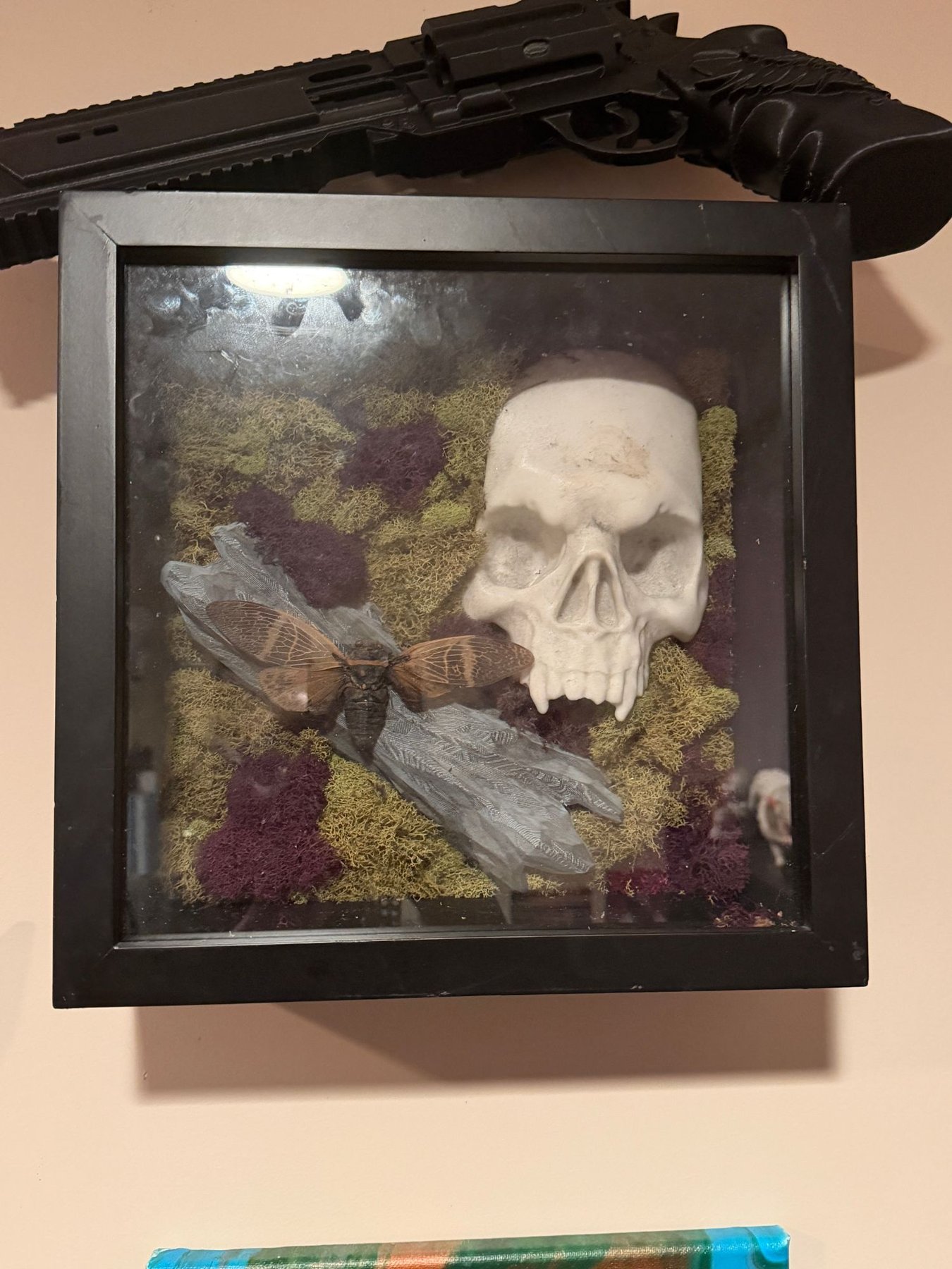A black shadowbox holding a fanged white skull and a pinned cicada on carved driftwood, set in green and purple moss.